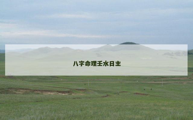 八字命理壬水日主
