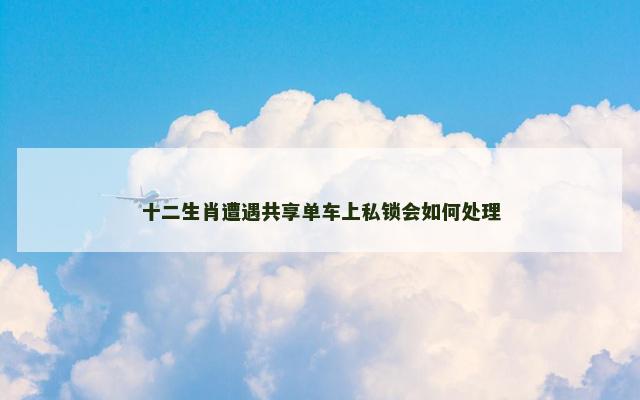 十二生肖遭遇共享单车上私锁会如何处理