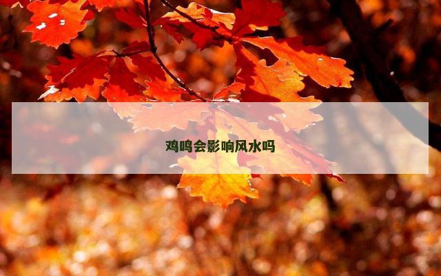 鸡鸣会影响风水吗