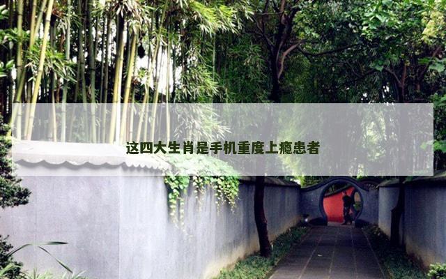 这四大生肖是手机重度上瘾患者