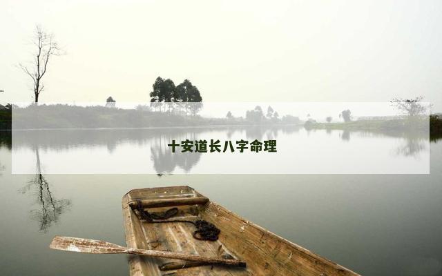 十安道长八字命理
