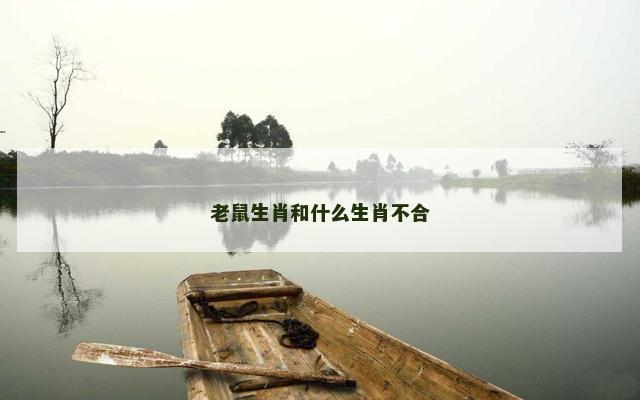 老鼠生肖和什么生肖不合