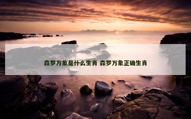 森罗万象是什么生肖 森罗万象正确生肖