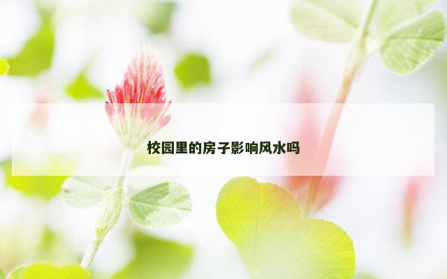 校园里的房子影响风水吗