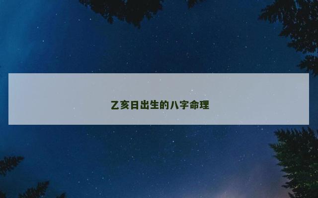 乙亥日出生的八字命理