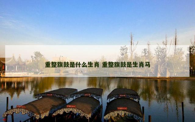 重整旗鼓是什么生肖 重整旗鼓是生肖马