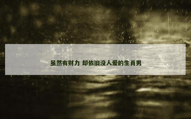 虽然有财力 却依旧没人爱的生肖男