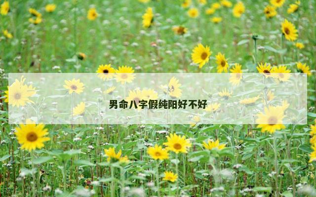 男命八字假纯阳好不好