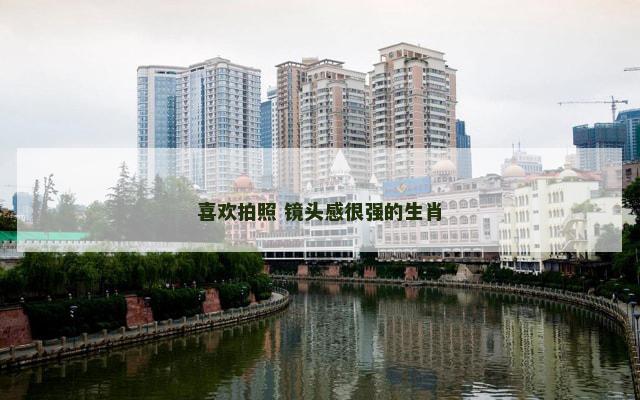 喜欢拍照 镜头感很强的生肖