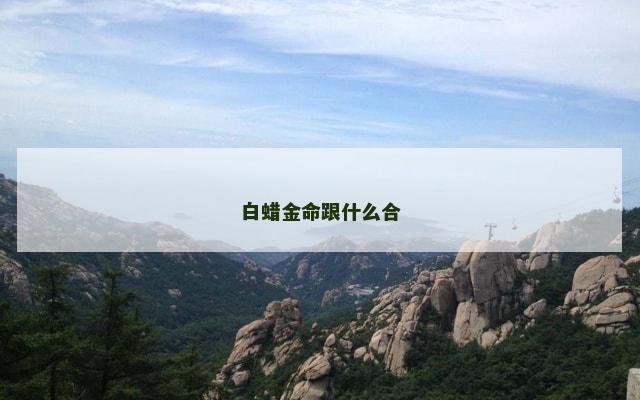 白蜡金命跟什么合