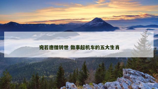宛若唐僧转世 做事超机车的五大生肖