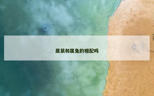 属鼠和属兔的相配吗