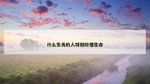什么生肖的人特别珍惜生命
