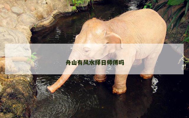 舟山有风水择日师傅吗