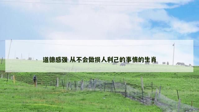 道德感强 从不会做损人利己的事情的生肖