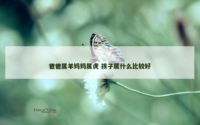 爸爸属羊妈妈属虎 孩子属什么比较好