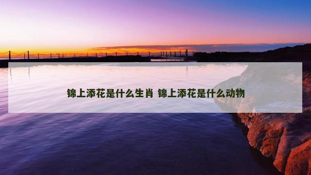 锦上添花是什么生肖 锦上添花是什么动物
