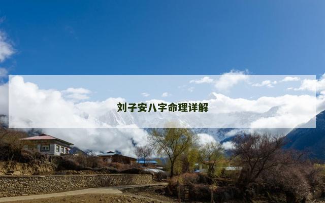 刘子安八字命理详解