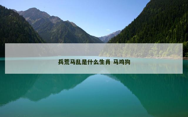 兵荒马乱是什么生肖 马鸡狗