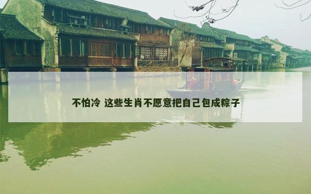 不怕冷 这些生肖不愿意把自己包成粽子