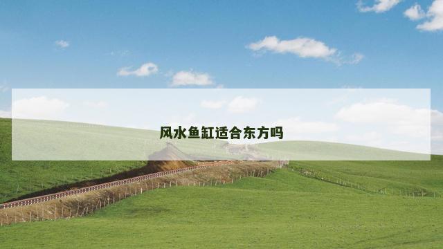 风水鱼缸适合东方吗