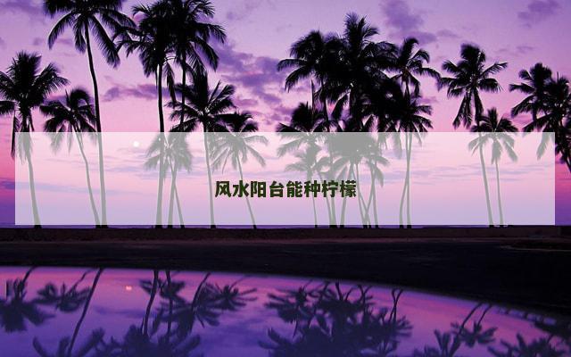 风水阳台能种柠檬