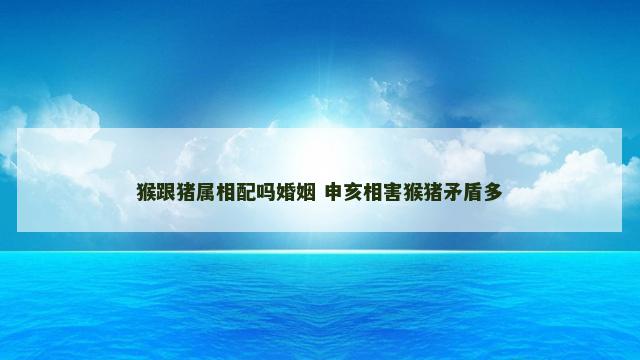 猴跟猪属相配吗婚姻 申亥相害猴猪矛盾多