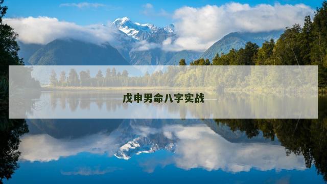 戊申男命八字实战