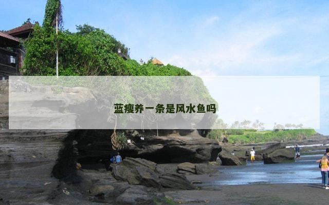 蓝瘦养一条是风水鱼吗