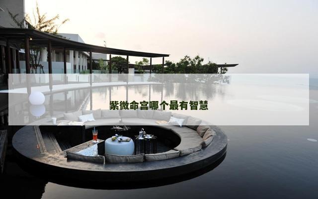 紫微命宫哪个最有智慧