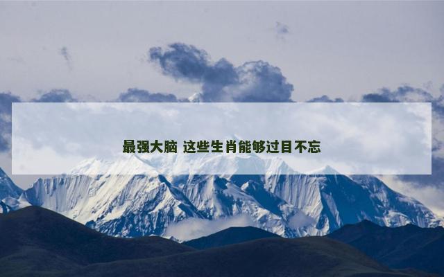 最强大脑 这些生肖能够过目不忘