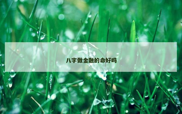 八字做金融的命好吗