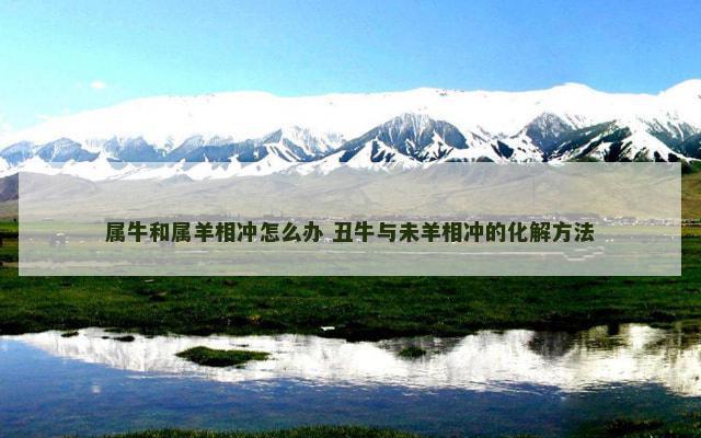 属牛和属羊相冲怎么办 丑牛与未羊相冲的化解方法