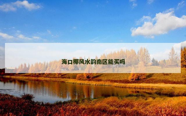海口椰风水韵南区能买吗