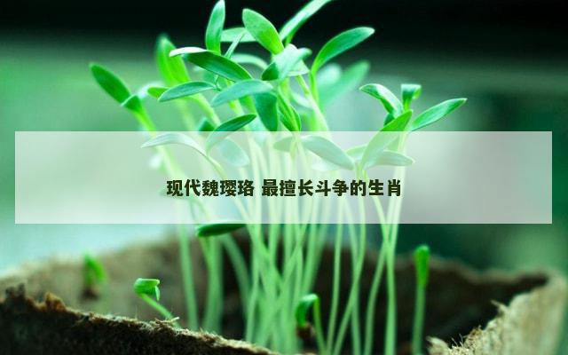 现代魏璎珞 最擅长斗争的生肖