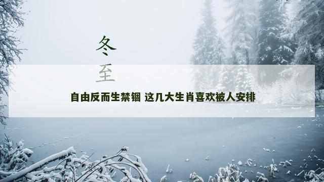 自由反而生禁锢 这几大生肖喜欢被人安排