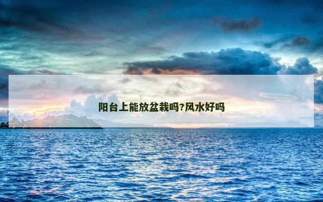 阳台上能放盆栽吗?风水好吗