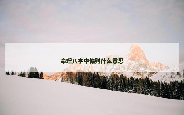 命理八字中偏财什么意思