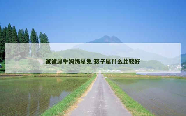爸爸属牛妈妈属兔 孩子属什么比较好