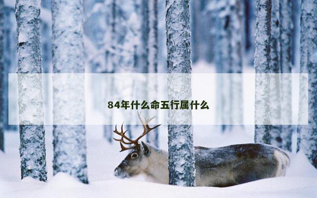 84年什么命五行属什么