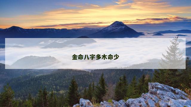 金命八字多木命少
