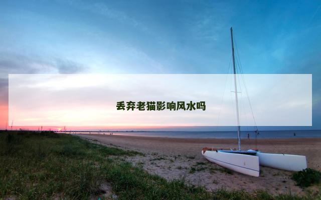 丢弃老猫影响风水吗
