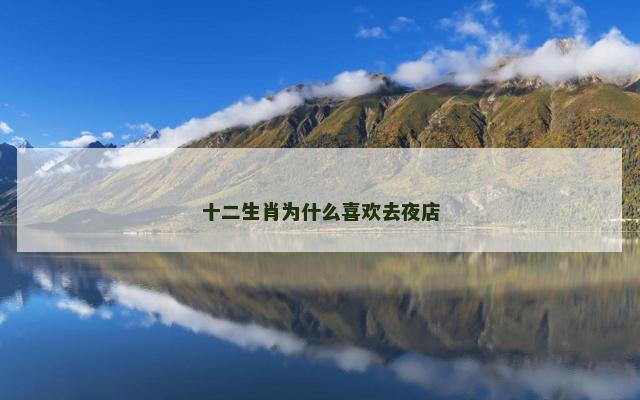 十二生肖为什么喜欢去夜店
