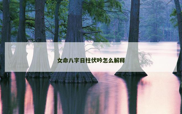 女命八字日柱伏吟怎么解释