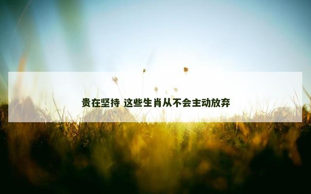 贵在坚持 这些生肖从不会主动放弃