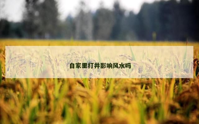 自家里打井影响风水吗