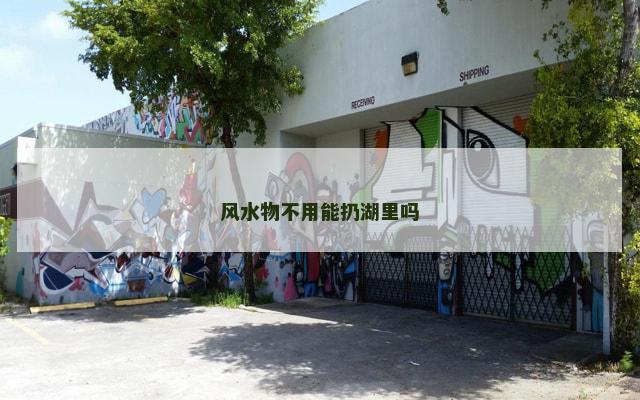 风水物不用能扔湖里吗