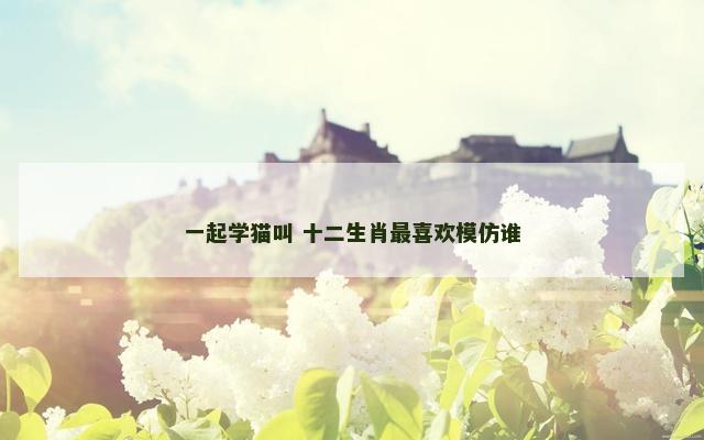 一起学猫叫 十二生肖最喜欢模仿谁