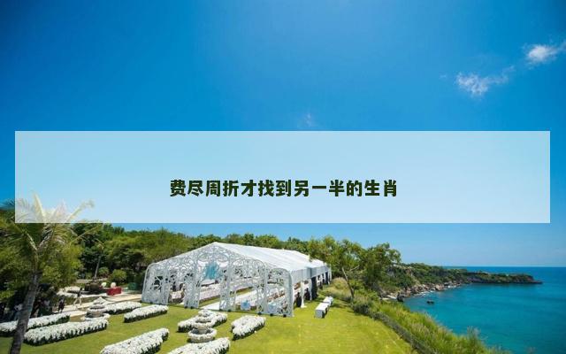 费尽周折才找到另一半的生肖