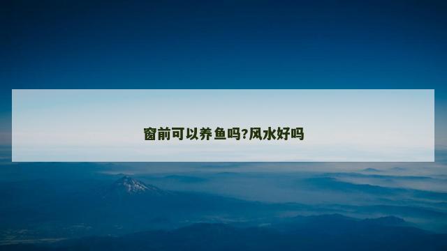 窗前可以养鱼吗?风水好吗